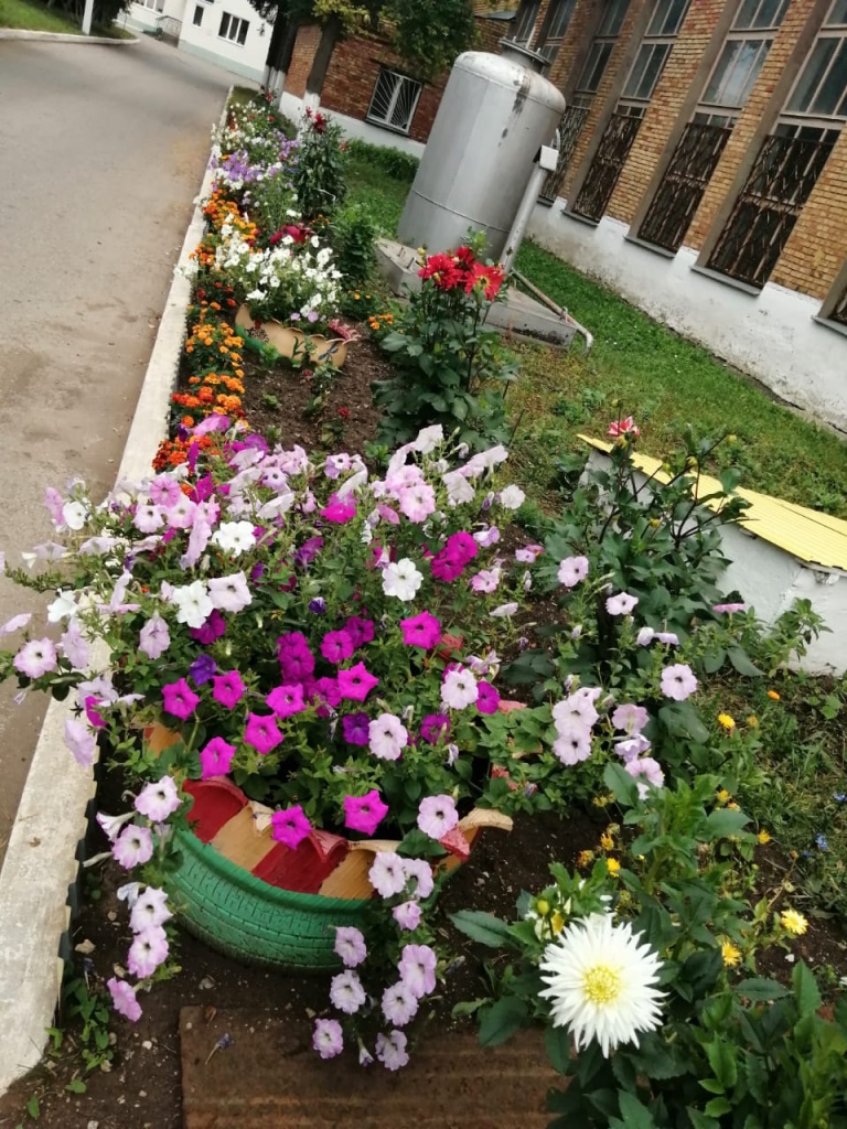 ABBJ3682.JPG ABBJ3682.JPG