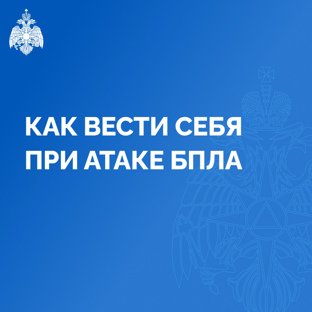 IMG_4712.png IMG_4712.png